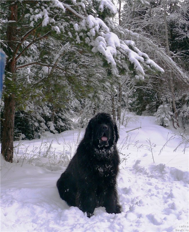 Фотография № 143843