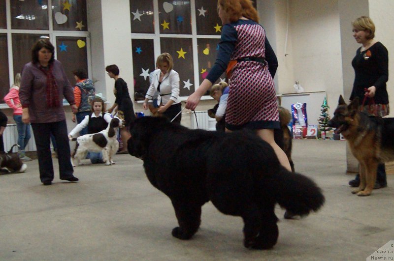 Фото: ньюфаундленд Thickish Newfoundland Waterfall Land's Only