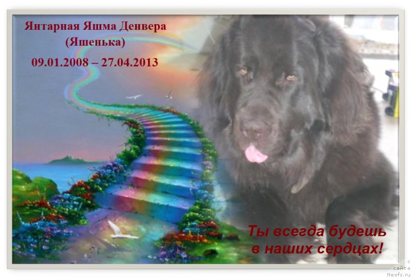 Фотография № 143920