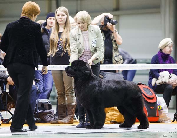 Фотография № 143928