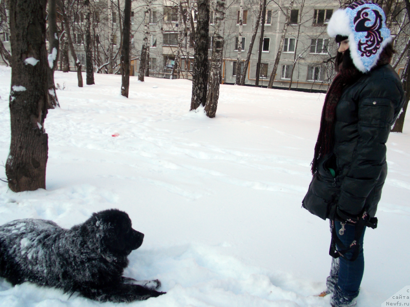 Фотография № 143966