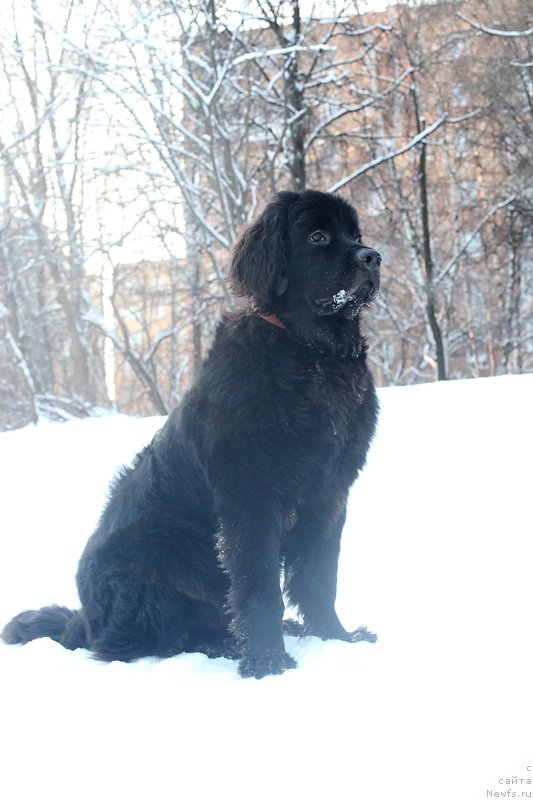 Фотография № 144036