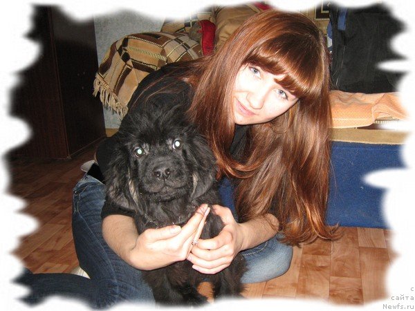 Фотография № 144037