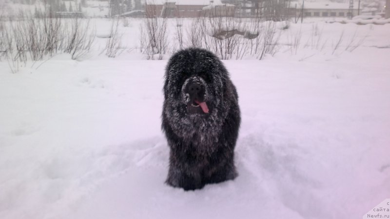 Фотография № 144095