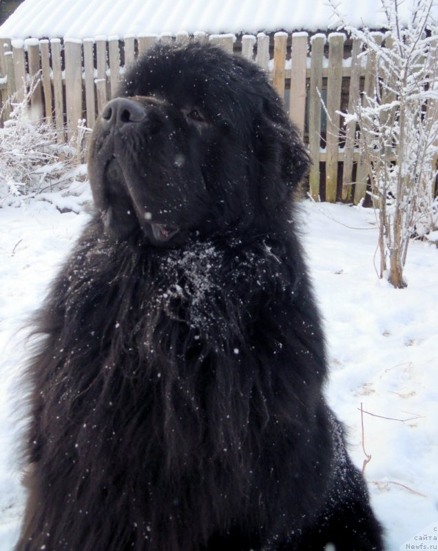 Фотография № 144117