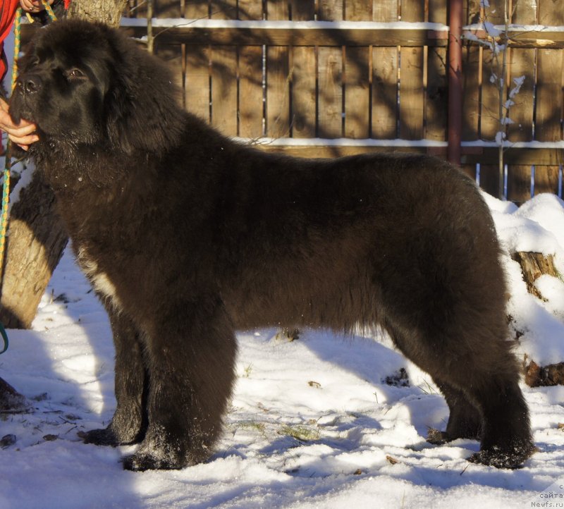 Фотография № 144188