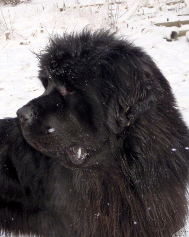 Фотография № 144245