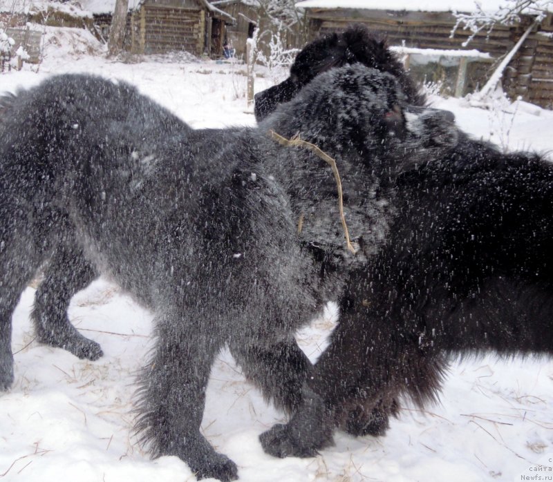 Фотография № 144247