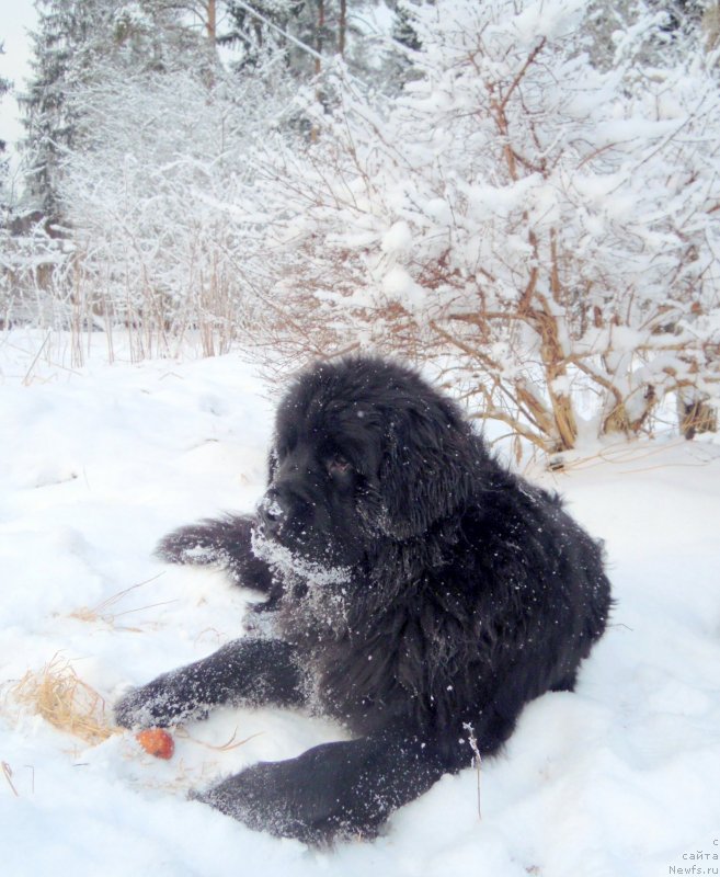 Фотография № 144248