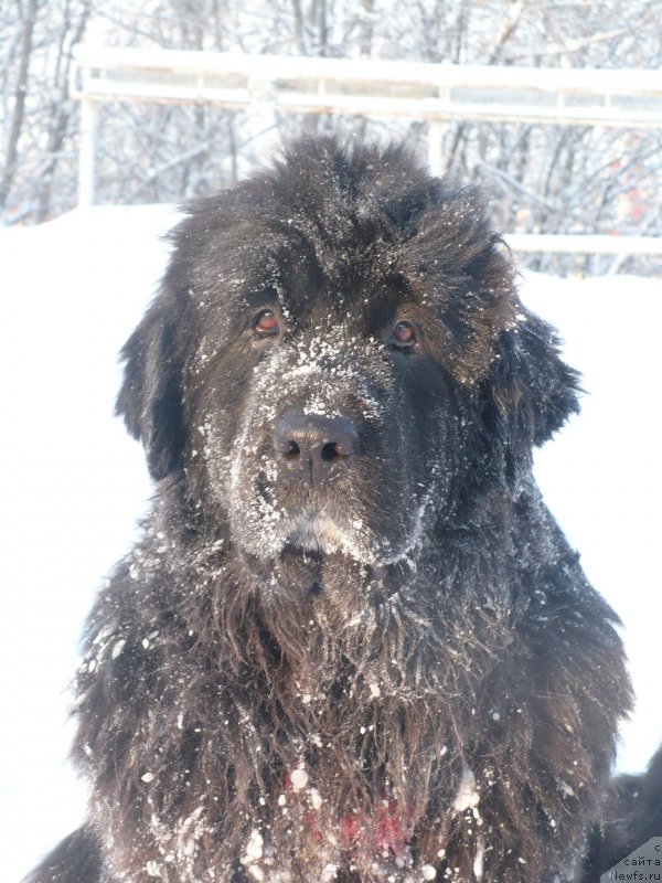 Фотография № 144251