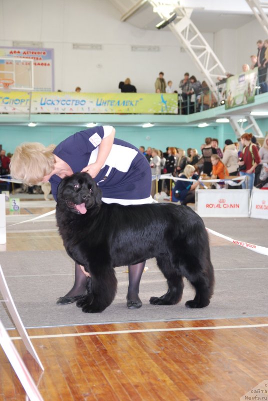 Фотография № 144309