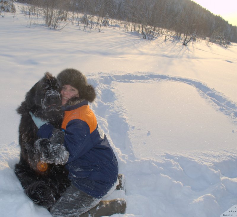 Фото: ньюфаундленд Akvatoriya Kelvin Koroleva Margo (Акватория Келвин Королева Марго)