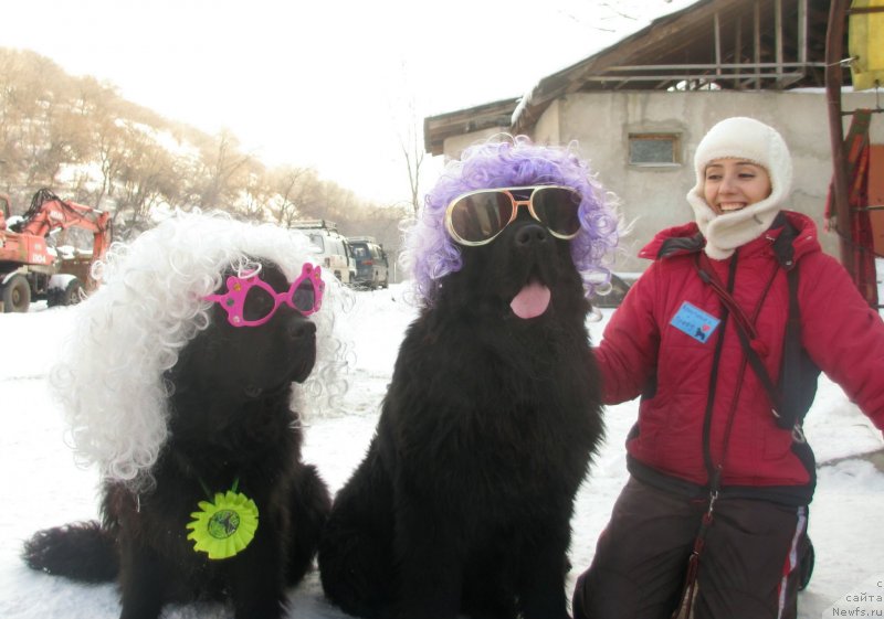 Фото: ньюфаундленд Fluffy Avalanch Exspress Your Self (Флюфи Аваланч Экспресс Юоур Сулф), Kristina Tamarenko (Кристина Тамаренко), ньюфаундленд Sent Djons Ulla for Kara Ayular (Сент Джонс Улла для Кара Аюлар)