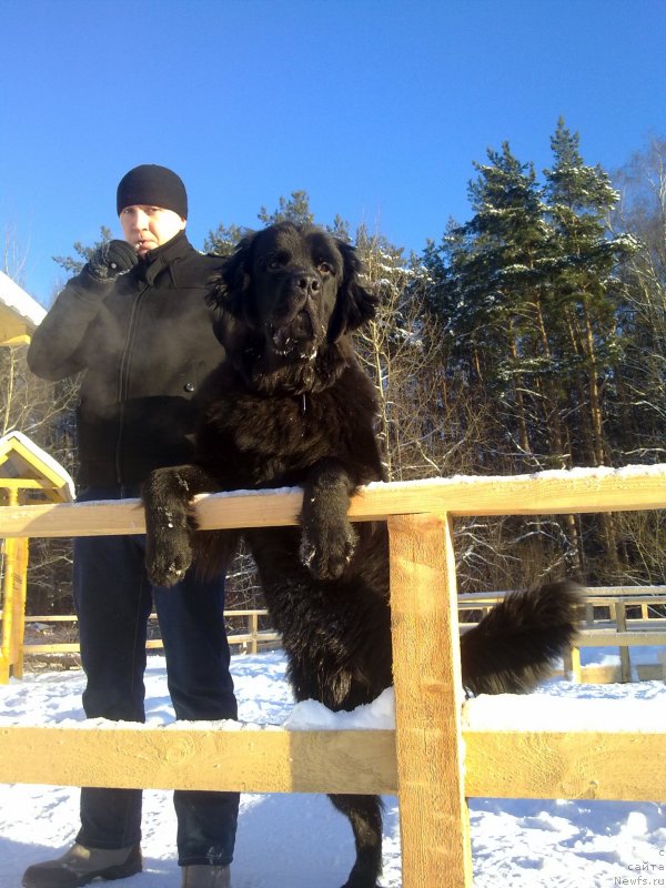 Фотография № 144428