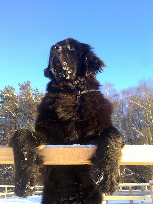 Фотография № 144430