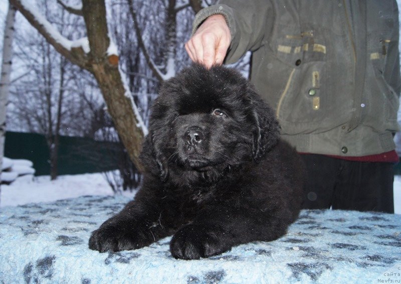 Фотография № 144452