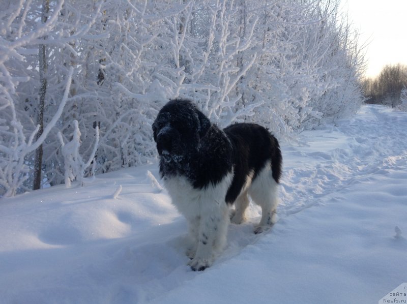 Фотография № 144540