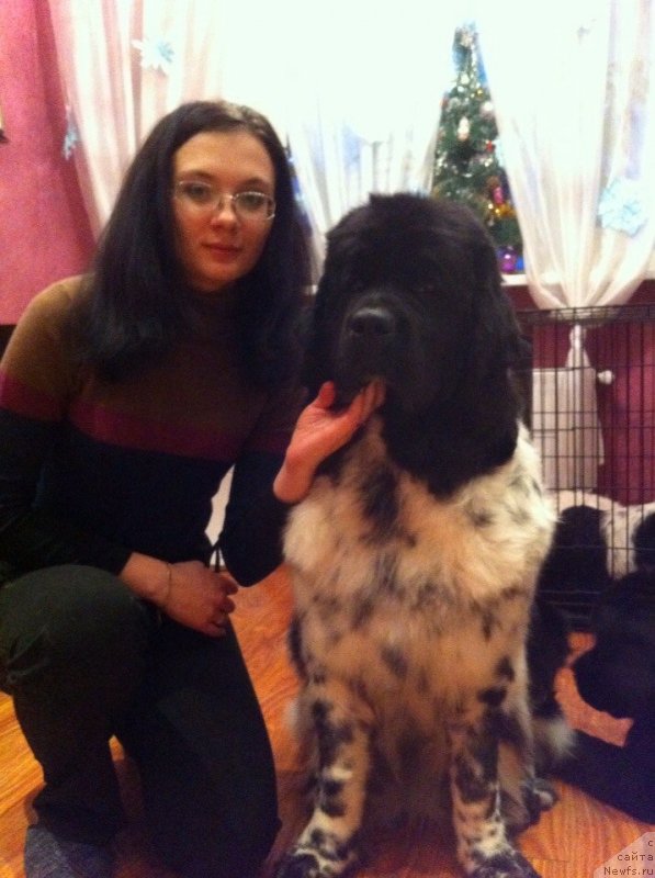 Фотография № 144556