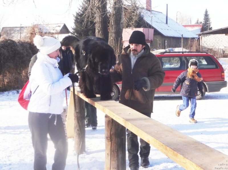 Фото: ньюфаундленд Bi Perfekt Arabella (Би Перфект Арабелла), Irina Pavlova (Ирина Павлова), мой муж Дима и старший сынок Миша