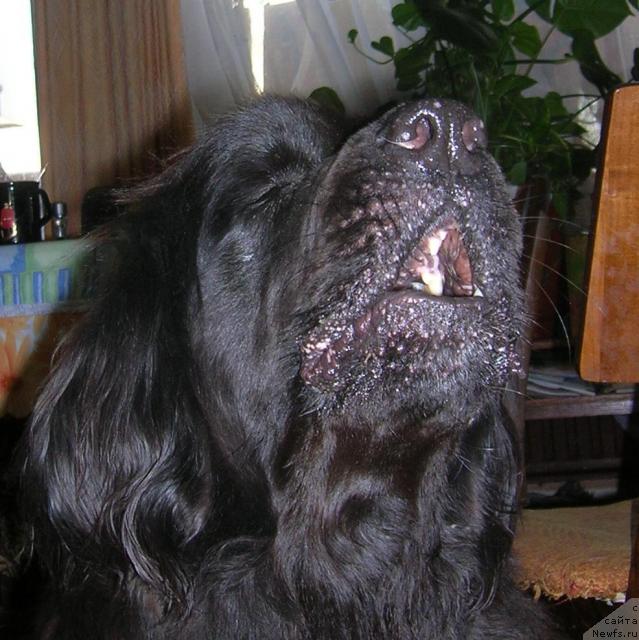 Фотография № 14458