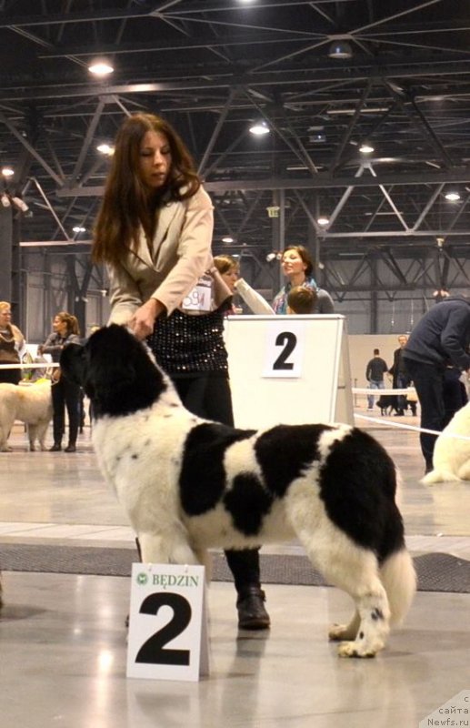 Фотография № 144580