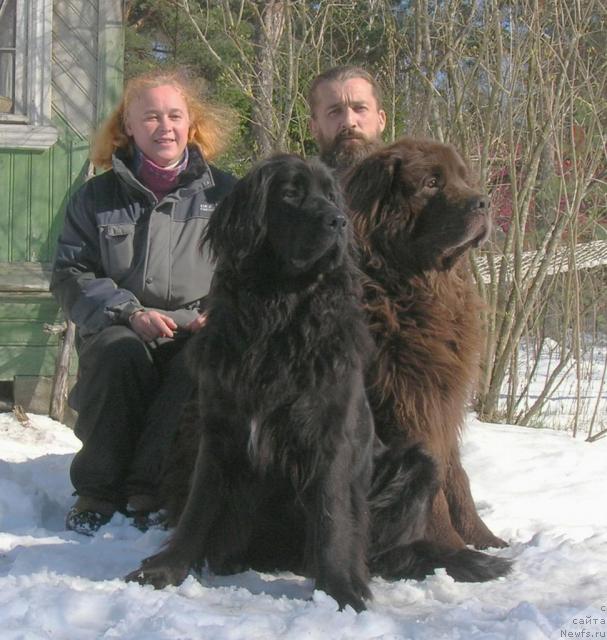 Фото: Lyubov' Jakova (Любовь Жакова), ньюфаундленд Sent Djons Djudi (Сент Джонс Джуди), Aleksandr Jakov (Александр Жаков), ньюфаундленд Smigar Afanasiy (Смигар Афанасий)