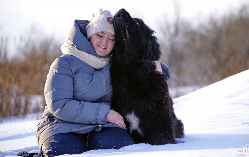 Фото: ньюфаундленд Rusalochka iz Plemeni Kedra (Русалочка из Племени Кедра), Elizaveta Pavlova (Елизавета Павлова)