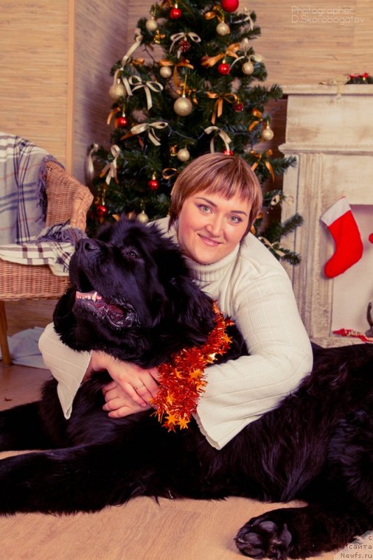 Фото: Elizaveta Pavlova (Елизавета Павлова), ньюфаундленд Rusalochka iz Plemeni Kedra (Русалочка из Племени Кедра)
