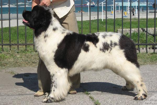 Фотография № 14477