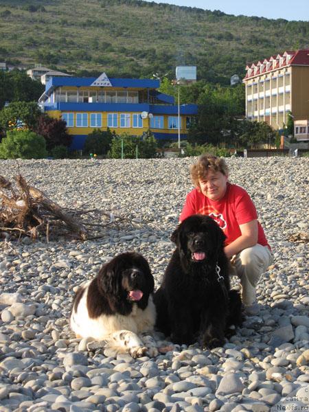 Фото: ньюфаундленд Plushevaya Panda Deniza Dlja  Berega Dona (Плюшевая Панда Дениза для Берега Дона), ньюфаундленд Kingova Doch s Berega Dona (Кингова Дочь с Берега Дона), Natal'ya Tatarinova (Наталья Татаринова)