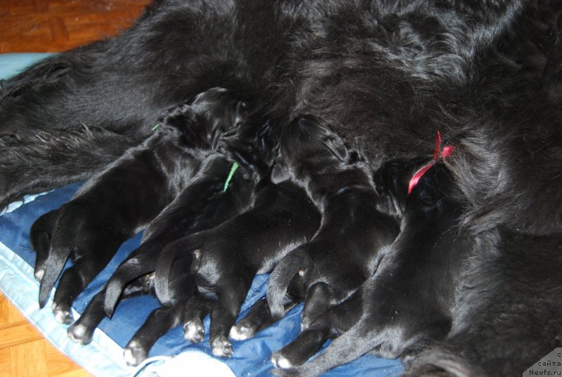 Фотография № 144809