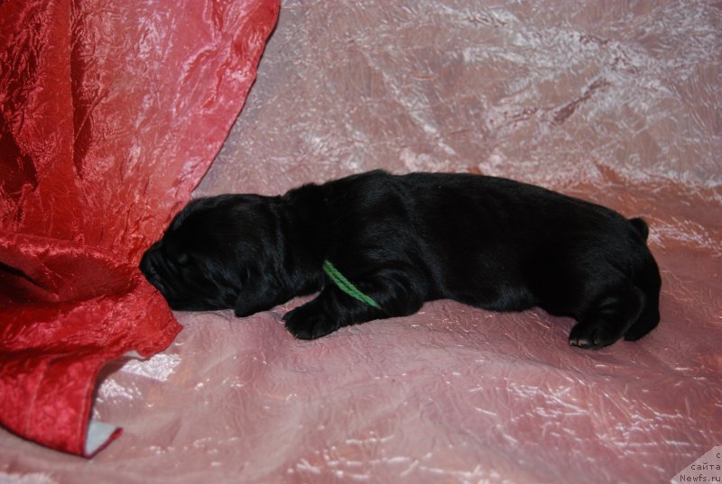 Фотография № 144811