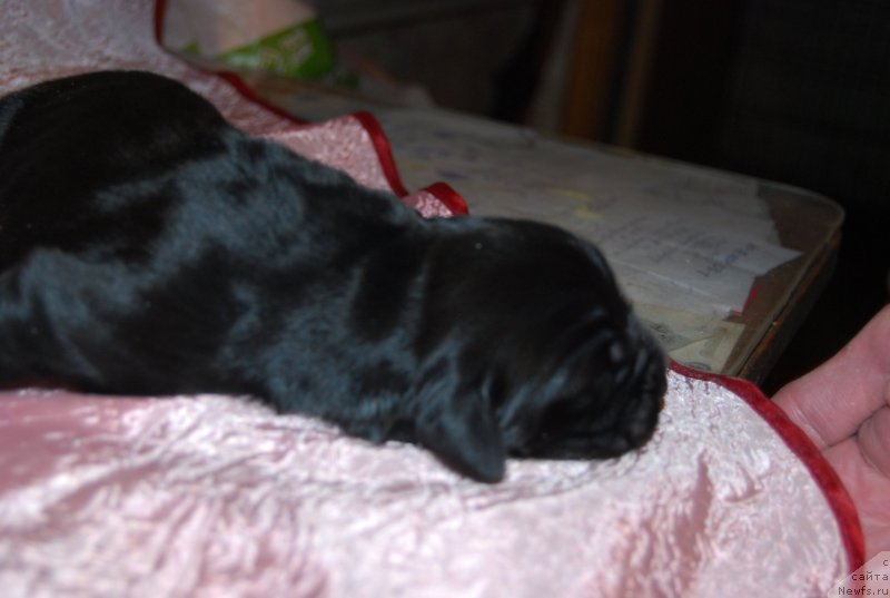 Фотография № 144812