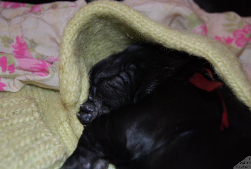 Фотография № 144858