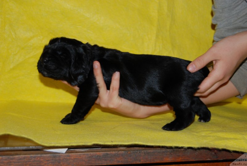 Фотография № 144859