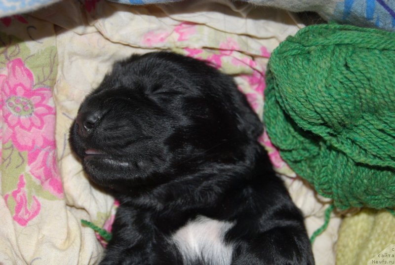 Фотография № 144862