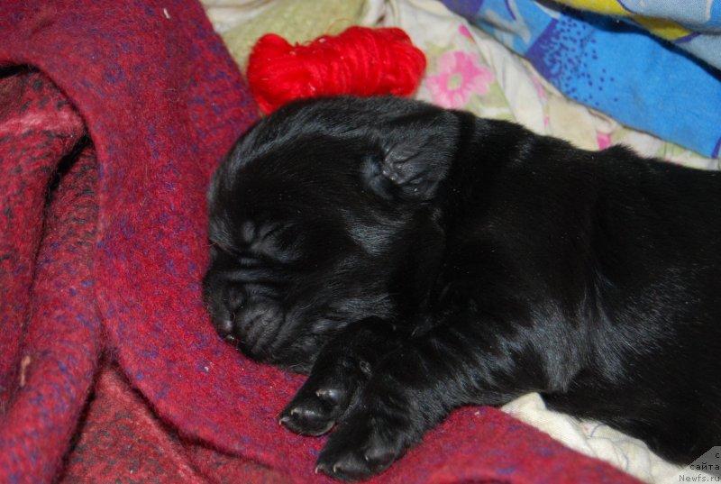 Фотография № 144863