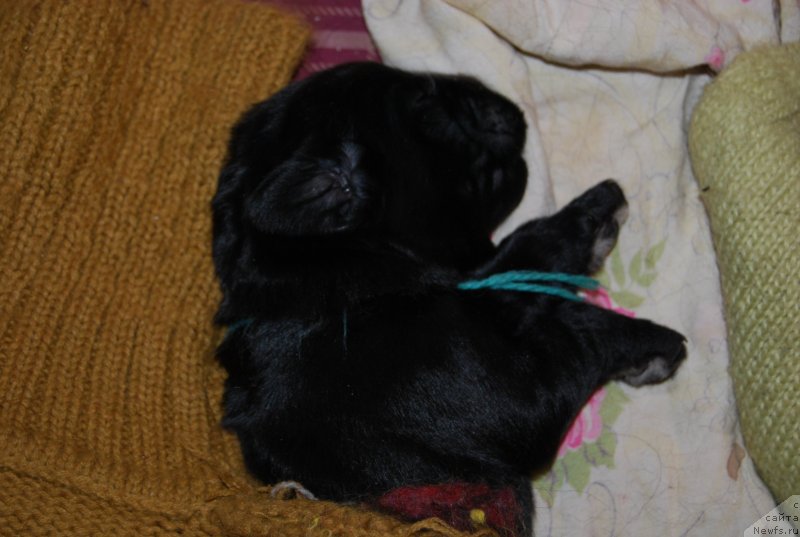 Фотография № 144865