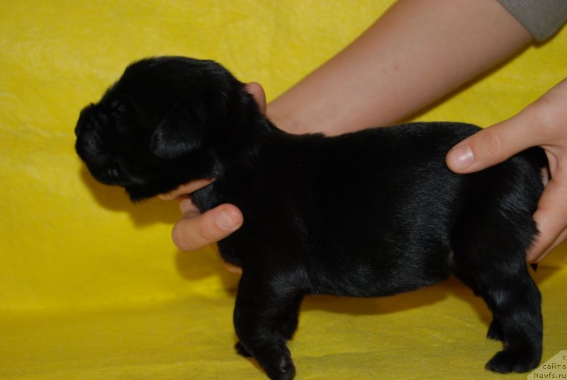 Фотография № 144866