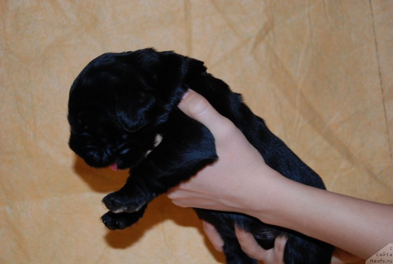 Фотография № 144867