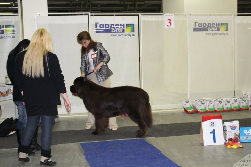 Фотография № 144917