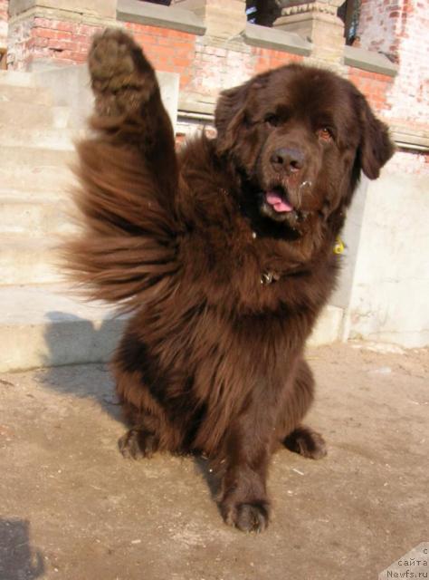 Фотография № 14492