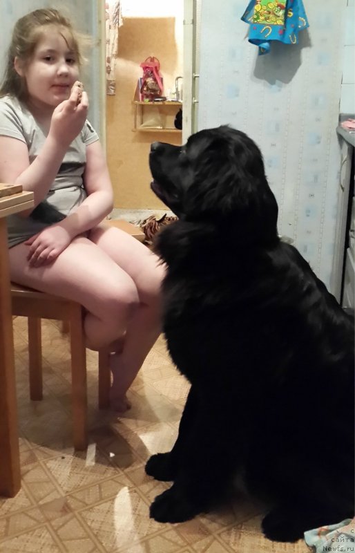 Фотография № 144991