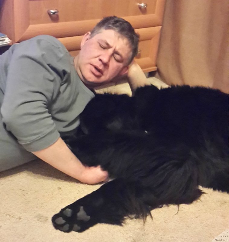 Фотография № 144994