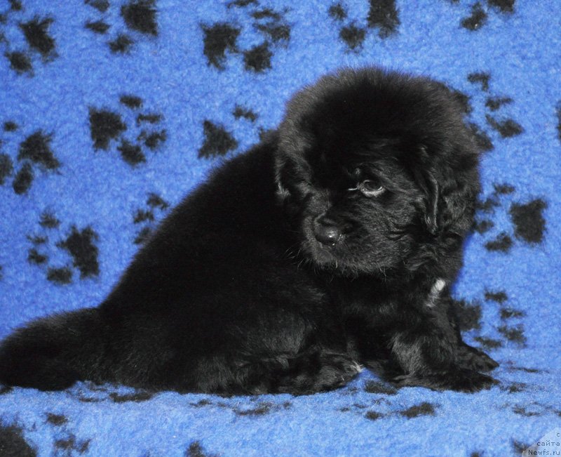 Фото: Девочка Кармин