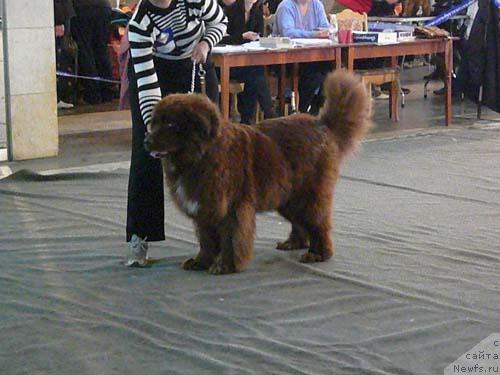 Фотография № 14502