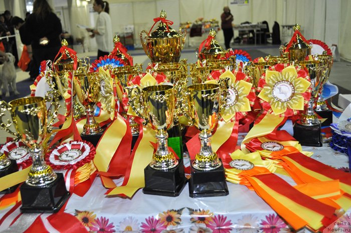 Фотография № 145038