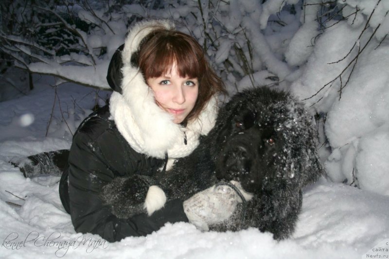 Фотография № 145078