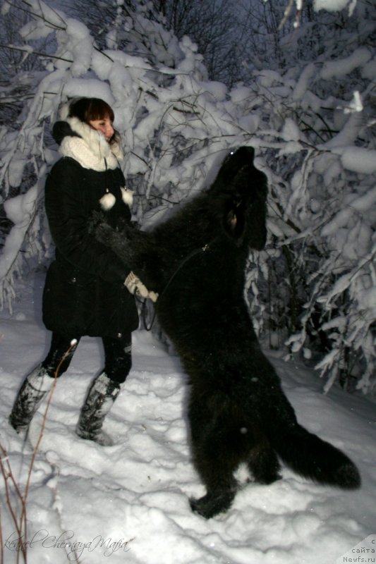 Фотография № 145081