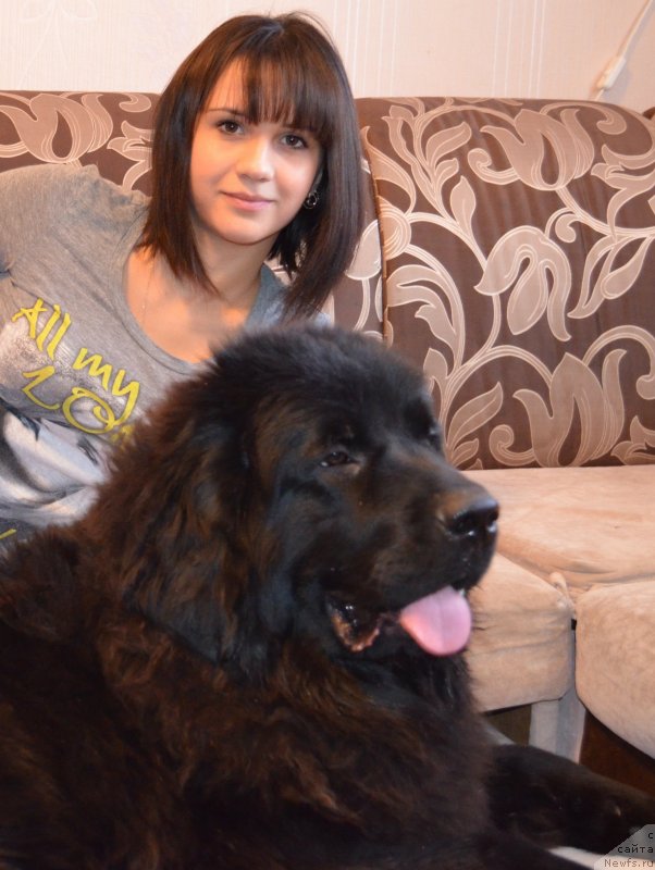 Фотография № 145085